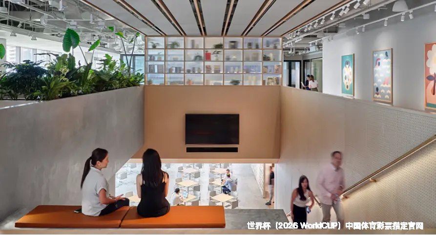 2026世界杯中国平台介绍